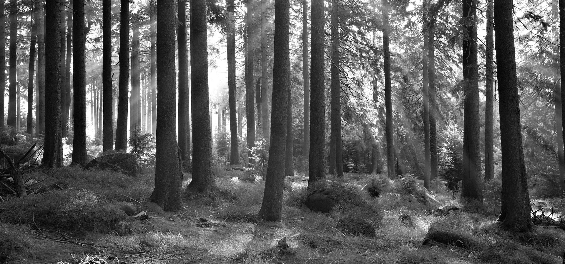 Spacers Online Showroom Tile and Wood Flooring Specialists